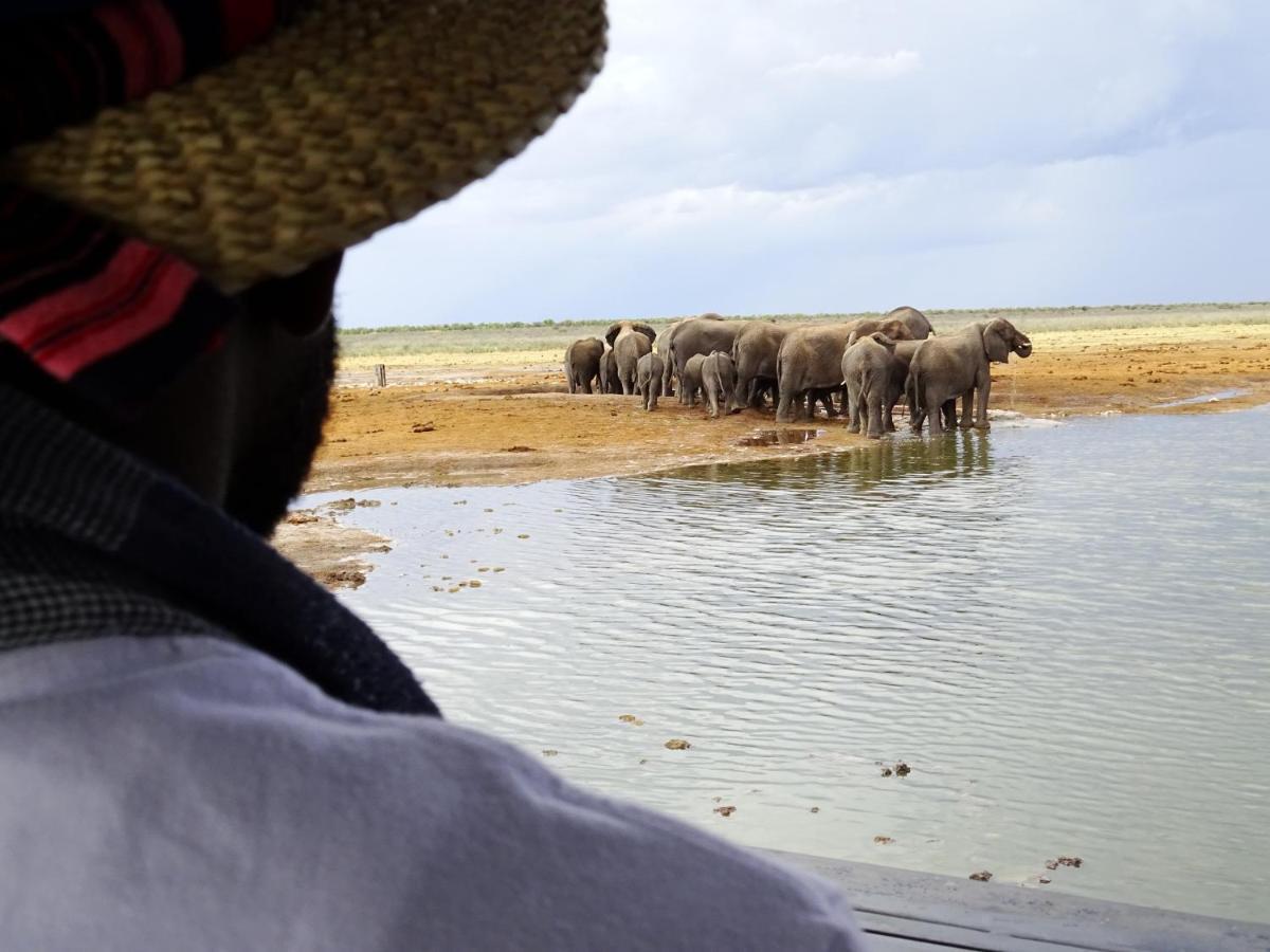 Etosha King Nehale Villa Omuthiya Eksteriør billede
