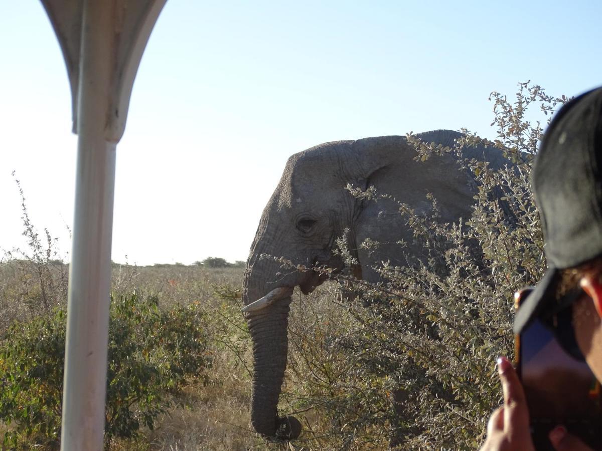 Etosha King Nehale Villa Omuthiya Eksteriør billede